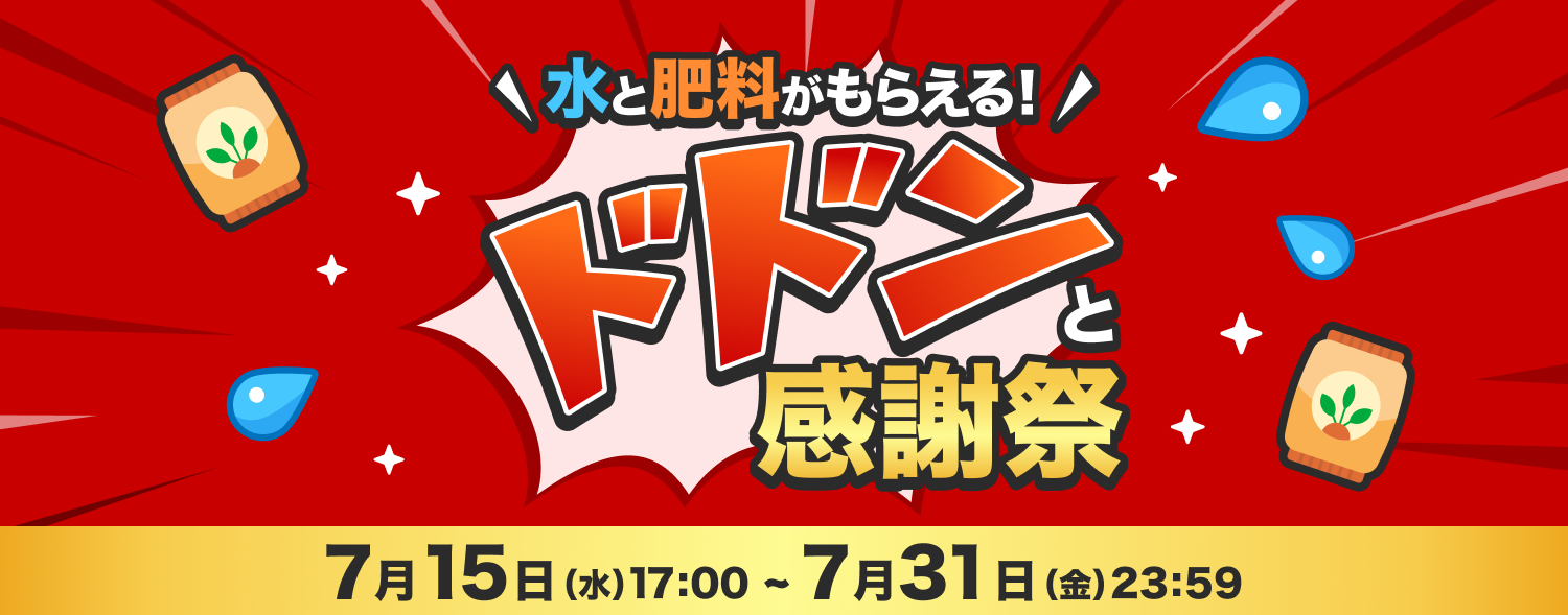 7月 ドドンと感謝祭