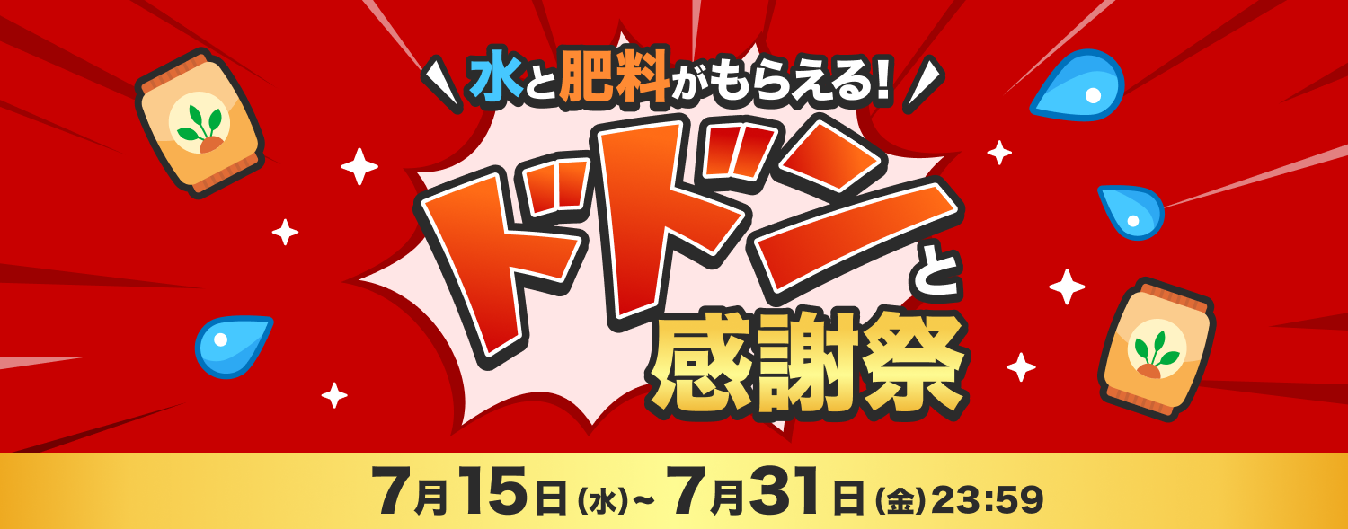 7月 ﾄﾞﾄﾞﾝと感謝祭