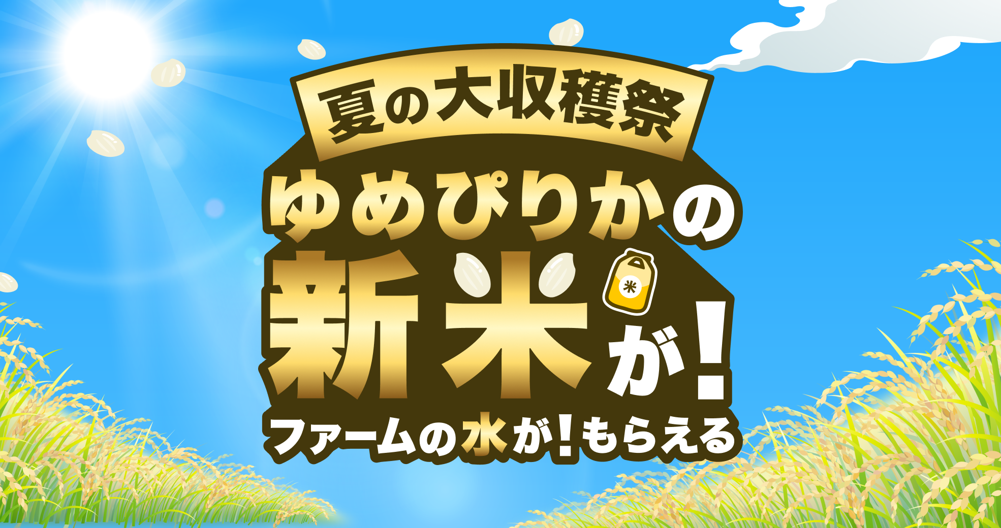 20250804-ゆめぴりかの新米が！ファームの水が！もらえる夏の大収穫祭